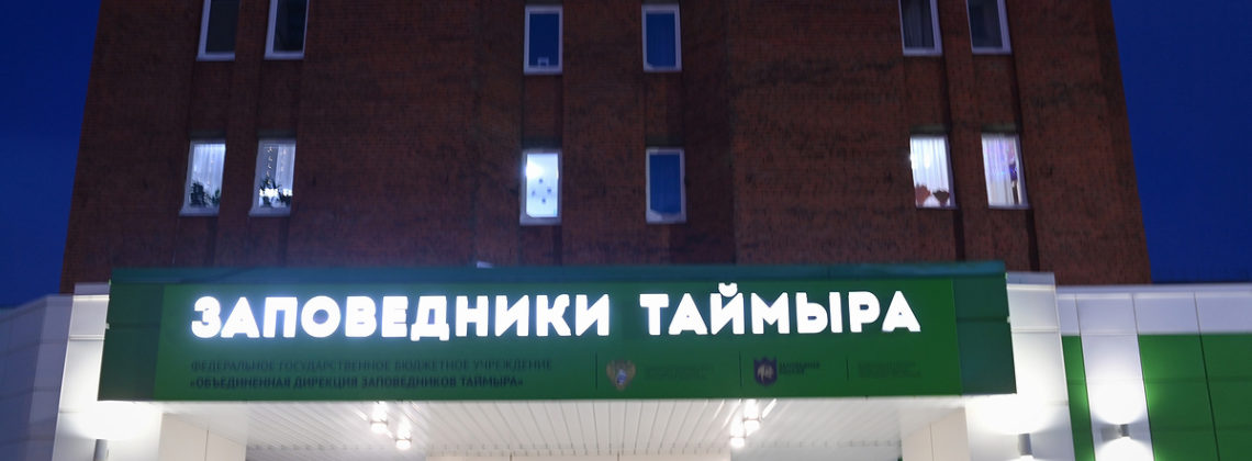 Заповедный диктант на отлично написали 127 норильских школьников