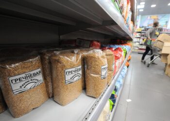 Предпринимателей Красноярья обучают системе маркировки продукции