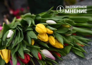Как выбрать и правильно хранить тюльпаны?