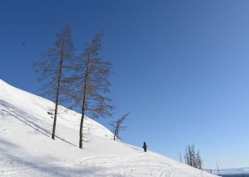 В Норильске и на Таймыре началась новая световая фаза