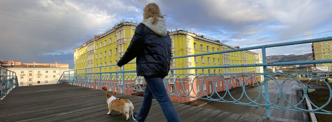 За несоблюдение договора хозяйка зоогостиницы выплатит норильчанке 13 320 рублей