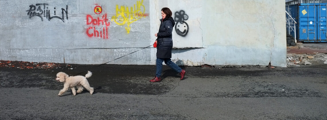 В Красноярском крае хозяина собаки, укусившей ребенка, накажут рублем ‎ ‎ ‎ ‎ ‎ ‎