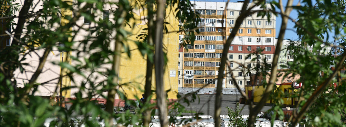 Последняя неделя лета в Норильске будет теплой