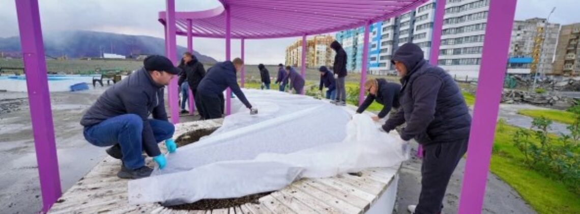Более 1,5 тысячи норильчан участвовали в субботнике по озеленению и санитарной очистке города