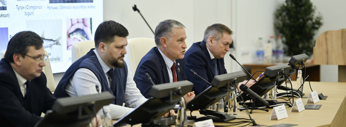 ВНИРО: в Норило-Пясинской водной системе восстанавливается популяция осетра