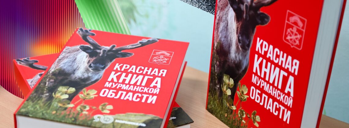 Песца внесли в обновлённую Красную книгу Мурманской области