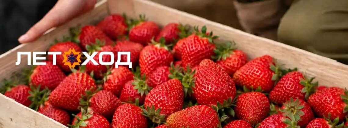Угадай время ледохода — получи ящик клубники!