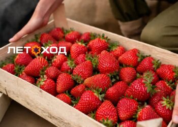 Угадай время ледохода — получи ящик клубники!