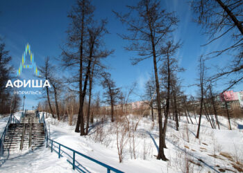 Афиша 29 мая — 5 июня