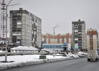 В Агентстве развития Норильска научат правильно оформлять заявки на соцконтракт