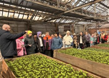 Норильские школьники из зимы попали в лето