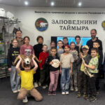 Какая лапа у медведя любимая, норильским школьникам рассказали в «Заповедниках Таймыра»