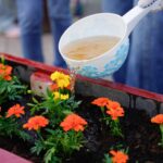Цветник появится в детской библиотеке Норильска