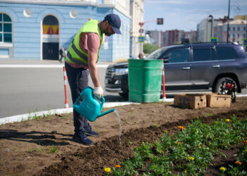 Норильск зацветёт: в городе стартовало масштабное озеленение