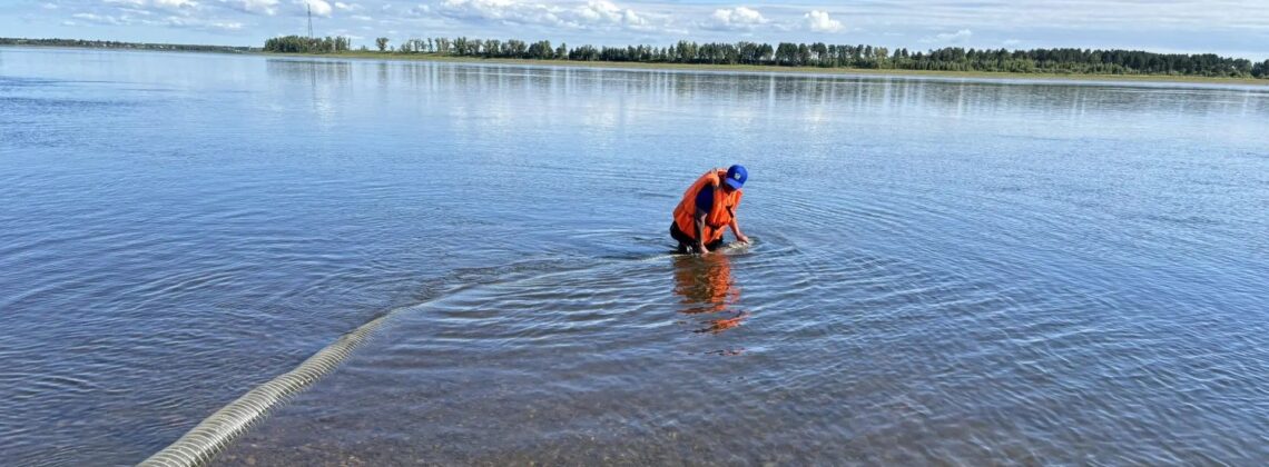 «Норильсктрансгаз» выпустил в Енисей почти 15 тысяч мальков нельмы