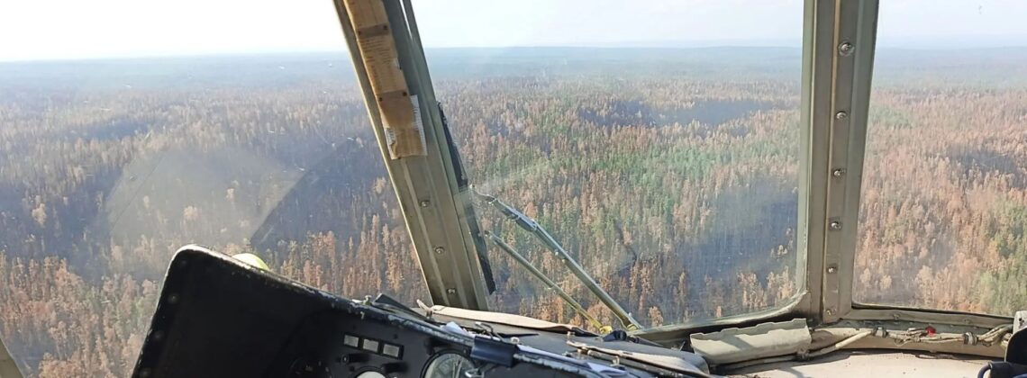 Тундра под защитой: в Норильске введён особый противопожарный режим