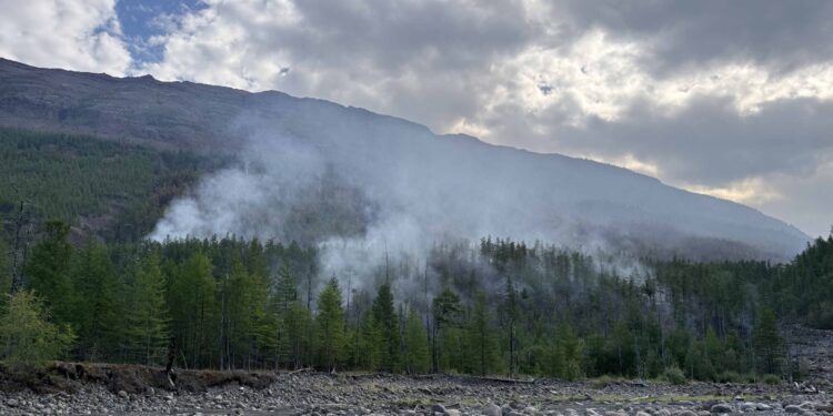Пожар в Путоранском заповеднике под Норильском вырос до 267 гектаров