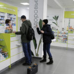 Минздрав России будет бороться с резистентностью к лекарствам
