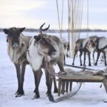 Север тревожный и безмятежный, обыденный и возвышенный