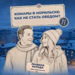Как не стать обедом для комаров в Норильске, выяснили ведущие проекта «Правила холода»