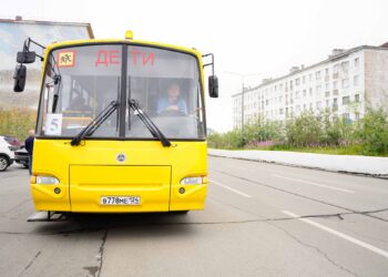 Норильские школьники бесплатно отдохнут на берегу Японского моря