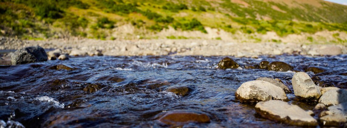 Качели у водопада и маршрут по тундре: как развивается проект «Пять этносов Таймыра»