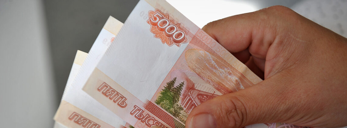 Годовой доход в запасе: россияне назвали идеальный размер финансовой подушки