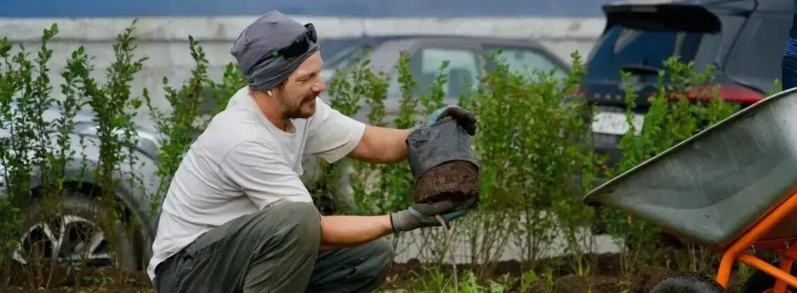 Зелёный курс Норильска: новые скверы и тысячи растений появятся по всему городу