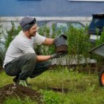 Зелёный курс Норильска: новые скверы и тысячи растений появятся по всему городу