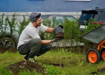 Зелёный курс Норильска: новые скверы и тысячи растений появятся по всему городу