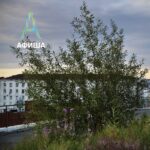 Афиша 18-25 сентября