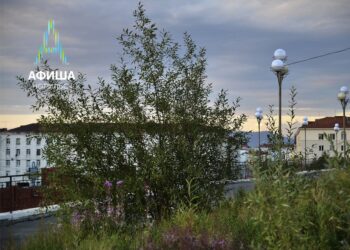 Афиша 18-25 сентября