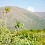 Норильчан зовут на бесплатную экскурсию к водопаду на реке Олор