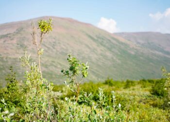 Норильчан зовут на бесплатную экскурсию к водопаду на реке Олор