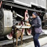 На территории музея строительства и развития Норильской железной дороги впервые прошли соревнования по кинологической дисциплине Ноузворк