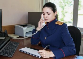 Шесть человек погибли от медведей в Красноярском крае: СК возбудил дело о халатности