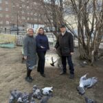 Норильский ЗАГС позвал горожан кормить птиц и напомнил, чем их нельзя угощать