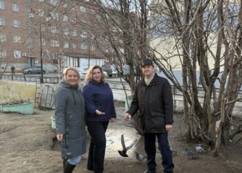 Норильский ЗАГС позвал горожан кормить птиц и напомнил, чем их нельзя угощать