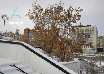 Афиша 30 октября – 6 ноября