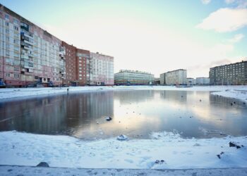 264 тонны грунта доставил «Норникель» для озеленения пространства у Городского озера