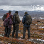Тундра у Норильска в октябре: как не заблудиться и разойтись с медведем