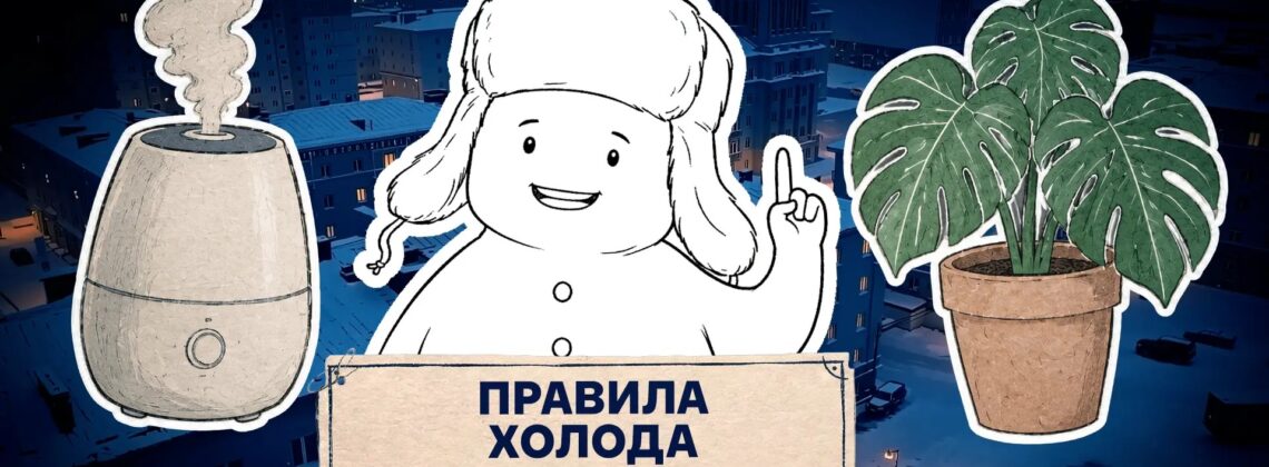 Нужно ли проветривать квартиру зимой или свежий воздух обеспечат комнатные растения, выяснили ведущие проекта «Правила холода»