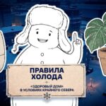 Нужно ли проветривать квартиру зимой или свежий воздух обеспечат комнатные растения, выяснили ведущие проекта «Правила холода»
