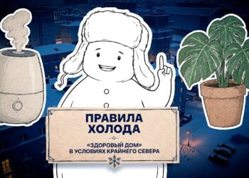 Нужно ли проветривать квартиру зимой или свежий воздух обеспечат комнатные растения, выяснили ведущие проекта «Правила холода»
