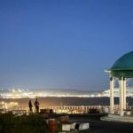 Труп таксы с перевязанной изолентой мордой нашли под окнами дома в Талнахе